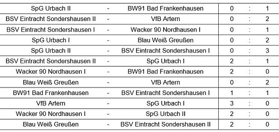 Hallenkreismeisterschaft der E-Junioren (Foto: NTKFA)