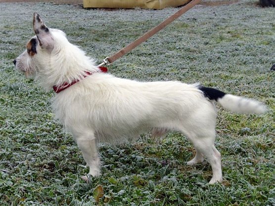 Tier der Woche (Foto: C. Knust) Tier der Woche (Foto: C. Knust)