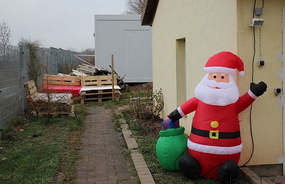 Weihnacht bei den Samtpfoten (Foto: Karl-Heinz Herrmann)