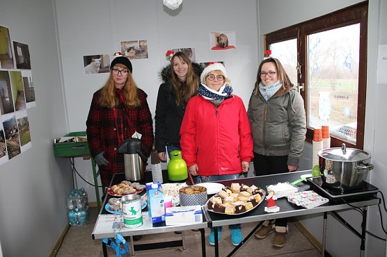 Weihnacht bei den Samtpfoten (Foto: Karl-Heinz Herrmann)