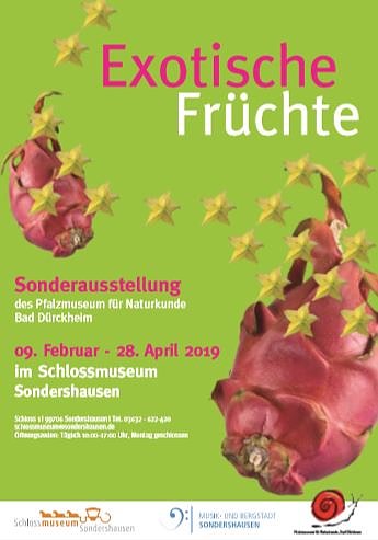 Sonderausstellung Exotische Früchte (Foto: Stadt Sondershausen) Sonderausstellung Exotische Früchte (Foto: Stadt Sondershausen)