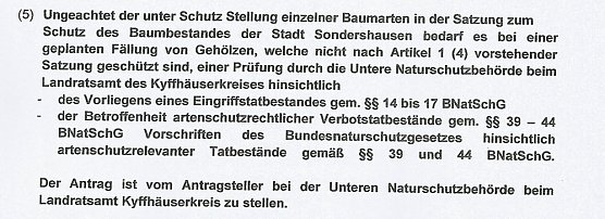Mehr Sicherheit beim Baumf&auml;llen (Foto: Karl-Heinz Herrmann)