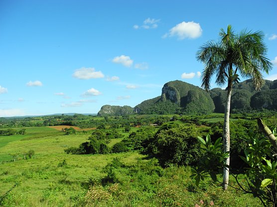 Kuba im Wandel - (Foto: Regionalmuseum Bad Frankenhausen)