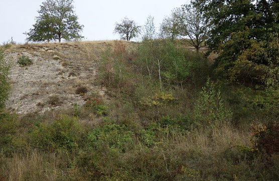 Kulturlandschaft am Kyffh&auml;user wird gepflegt (Foto: Landschaftspflegeverband)