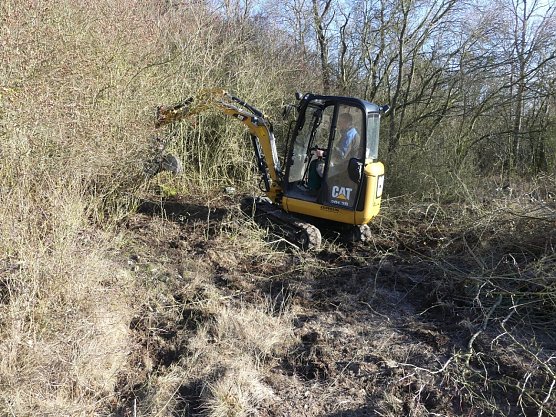 Kulturlandschaft am Kyffh&auml;user wird gepflegt (Foto: Landschaftspflegeverband)