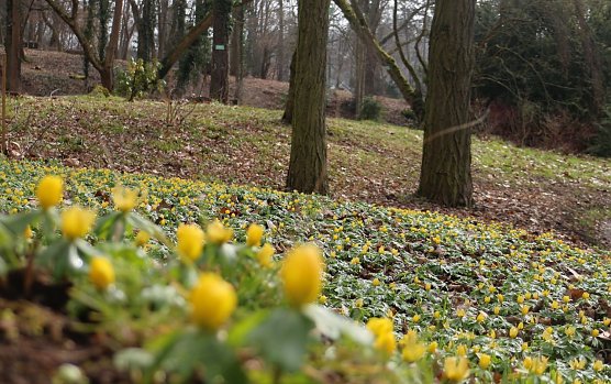 Wetterbild (Foto: Angelo Glashagel)