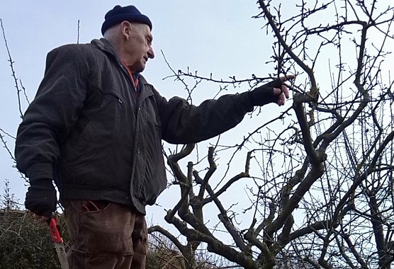 Von Fruchtmumien und Wuchsgesetzen (Foto: Judith Blinzler)