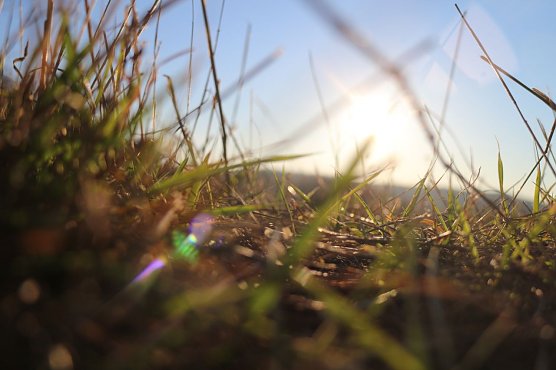 Wetterbild (Foto: A. M&uuml;ller)