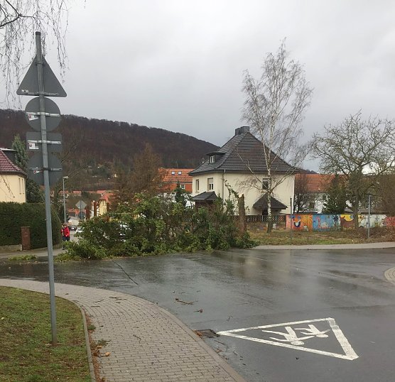 Eins&auml;tze wegen Sturmsch&auml;den (Foto: Silvio Dietzel)