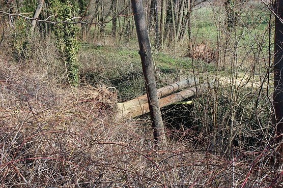 Da ist einiges umgest&uuml;rzt (Foto: Karl-Heinz Herrmann)