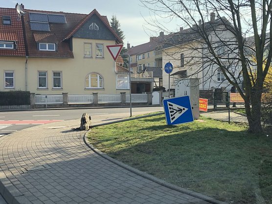 <i>Foto: <b>Silvio Dietzel</b> </i> (Foto: Silvio Dietzel)