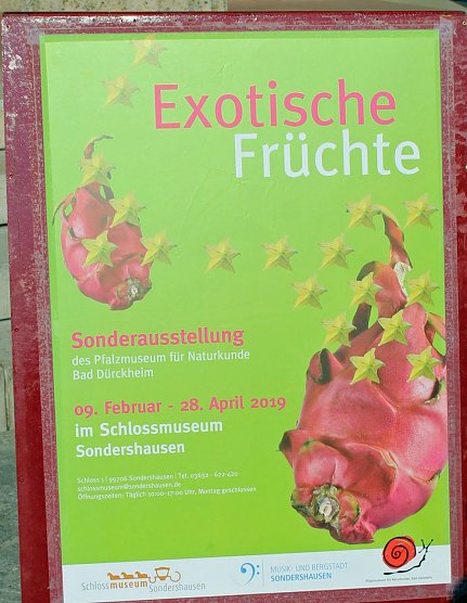 9. Aktionstag Gesunde Ernährung war Erfolg (Foto: Karl-Heinz Herrmann) 9. Aktionstag Gesunde Ernährung war Erfolg (Foto: Karl-Heinz Herrmann)