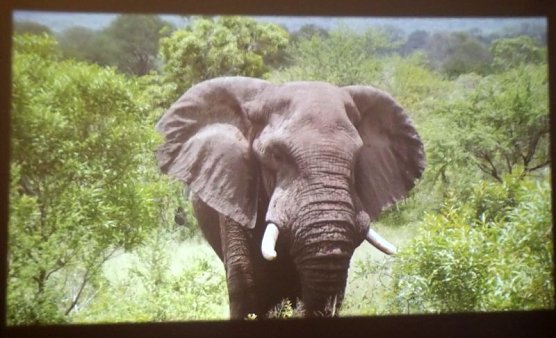 Reise und Wahlen (Foto: Thomas Leipold) Reise und Wahlen (Foto: Thomas Leipold)