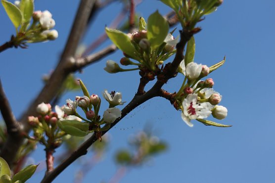 Wetterbild (Foto: Angelo Glashagel) Wetterbild (Foto: Angelo Glashagel)