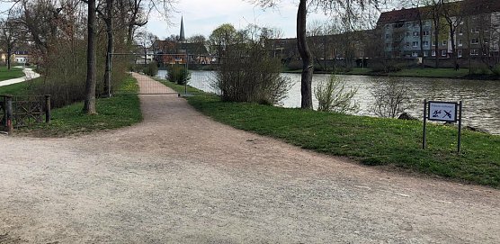 Schw&auml;ne residieren im Schlosspark Sondershausen � (Foto: Manuel Mucha)
