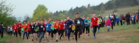 Glückliche Sieger beim Crosslauf der Schulen (Foto: Annika Backhaus) Glückliche Sieger beim Crosslauf der Schulen (Foto: Annika Backhaus)
