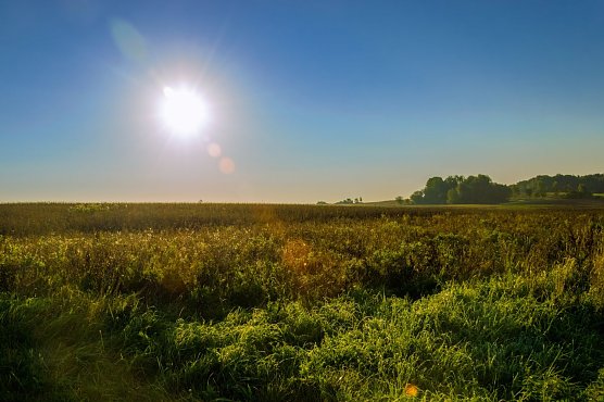 Sonne (Foto: Gernot Thelemann)