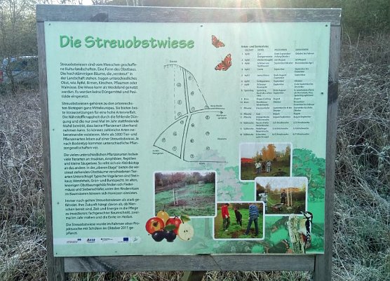 Streuobstwiese aus dem Dornröschenschlaf erwacht (Foto: Katrin Sieber) Streuobstwiese aus dem Dornröschenschlaf erwacht (Foto: Katrin Sieber)