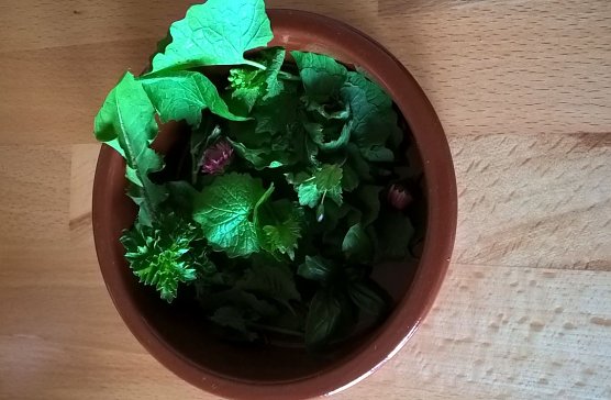 Essbare Stadt mit Veranstaltung (Foto: Judith Blinzler)