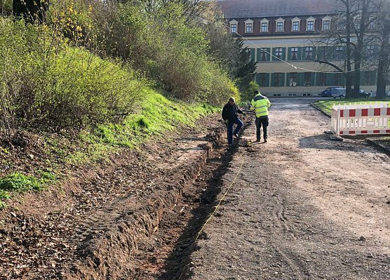 Arbeiten im Schlosspark (Foto: Manuel Mucha) Arbeiten im Schlosspark (Foto: Manuel Mucha)