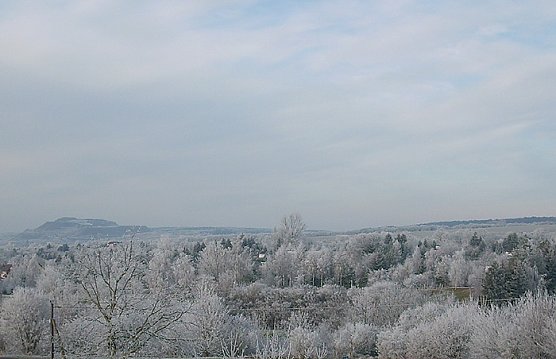 Reif &uuml;ber Sondershausen (Foto: Karl-Heinz Herrmann)