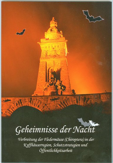 Was gibt es Neues von den Fledermäusen? (Foto: Regionalmuseum Bad Frankenhausen) Was gibt es Neues von den Fledermäusen? (Foto: Regionalmuseum Bad Frankenhausen)