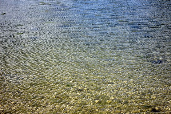 Anbaden am Bebraer Teich (Foto: Karl-Heinz Herrmann)