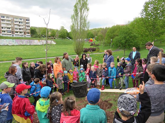 Baumfest am Freitag (Foto: Andreas Gothe) Baumfest am Freitag (Foto: Andreas Gothe)