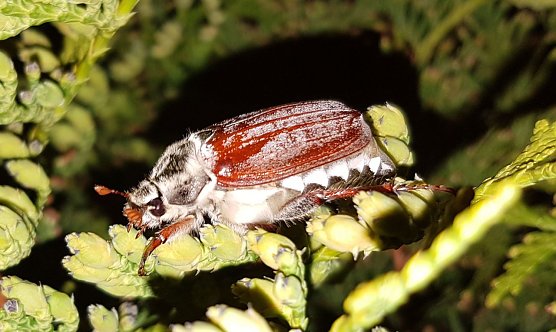 Trotz Kälte (Foto: Peter Möbius) Trotz Kälte (Foto: Peter Möbius)