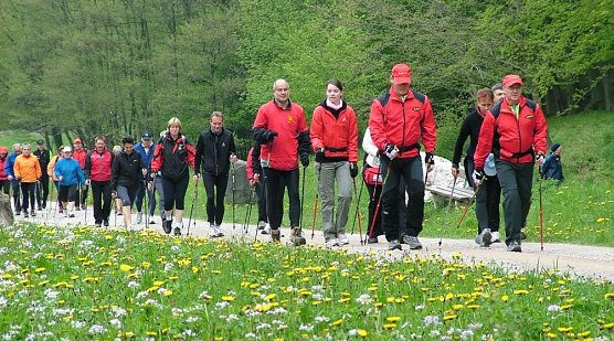 Nordic-Walking im Harz (Foto: Landesforsten Archiv)