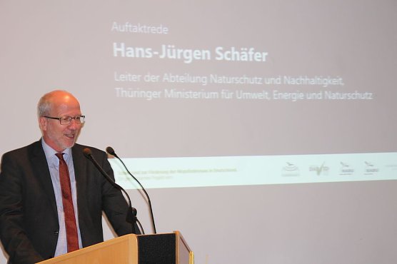 Mittel zum Schutz der Mopsfledermaus (Foto: Karl-Heinz Herrmann)