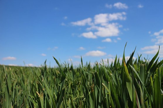 Wetterbild (Foto: Angelo Glashagel)