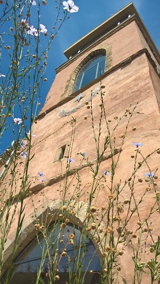 Veranstaltungsreihe der Essbaren Stadt Sondershausen (Foto: Judith Blinzler)