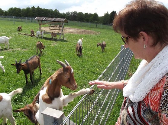 WB4 besuchte Sophienhof und die Ziegenalm (Foto: Thomas Leipold) WB4 besuchte Sophienhof und die Ziegenalm (Foto: Thomas Leipold)