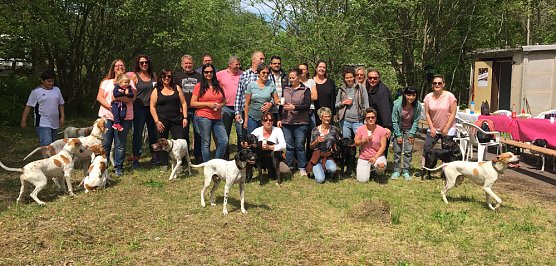 &Uuml;berregionales Treffen von Hundehaltern auf dem Freilaufgel&auml;nde  in Sondershausen... (Foto: Ines Schwarz)