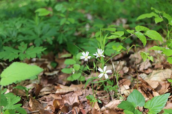 Wetterbild (Foto: Angelo Glashagel) Wetterbild (Foto: Angelo Glashagel)