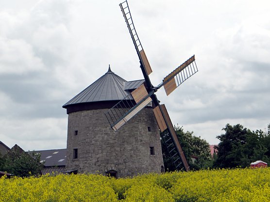Turmwindm&uuml;hle Immenrode &ouml;ffnet zum M&uuml;hlentag (Foto: Karl-Heinz Herrmann)