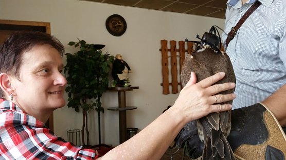 Luca Falke und Wüsten-Bussard Uschi zu Besuch im WB 4 (Foto: Thomas Leipold) Luca Falke und Wüsten-Bussard Uschi zu Besuch im WB 4 (Foto: Thomas Leipold)