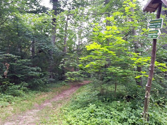 Wie sieht es denn hier aus? (Foto: Karl-Heinz Herrmann)