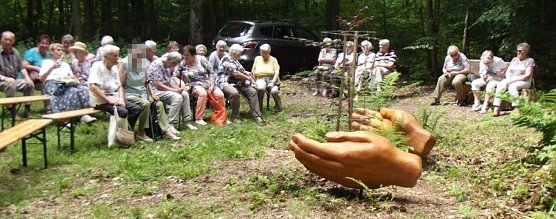 WB 4 Exkursion zur Mutterblutbuche (Foto: Thomas Leipold)