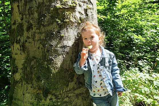 Vier Gramm Buchenholz sorgt für freudige Kinderaugen (Foto: ThüringenForst) Vier Gramm Buchenholz sorgt für freudige Kinderaugen (Foto: ThüringenForst)