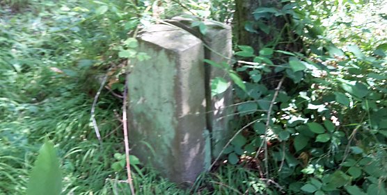 Geschichte vergammelt im Wald (Foto: Karl-Heinz Herrmann)