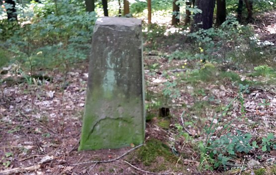 Geschichte vergammelt im Wald (Foto: Karl-Heinz Herrmann)