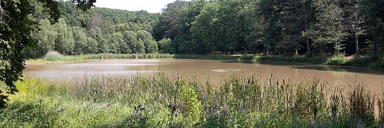 In der Windleite unterwegs (Foto: Karl-Heinz Herrmann)