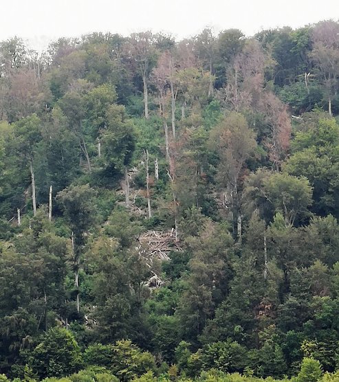 Frauenberg (Foto: Uwe Lüttkopf) Frauenberg (Foto: Uwe Lüttkopf)
