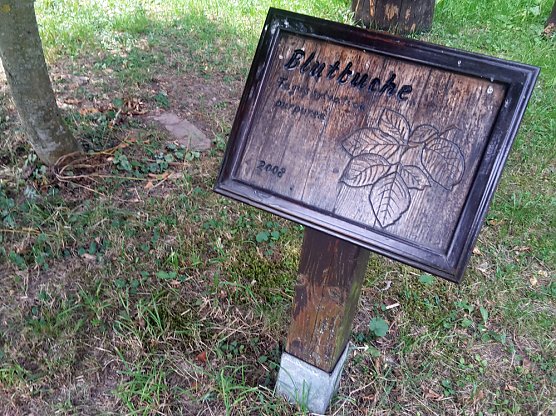 Gru&szlig; aus Sondershausen? (Foto: Karl-Heinz Herrmann)