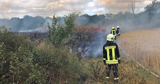 Fl&auml;chenbrand (Foto: Silvio Dietzel)