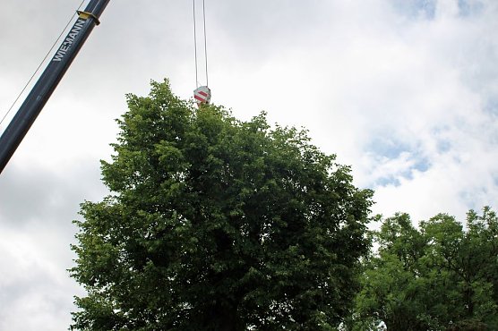 Baumpflege mit Kran (Foto: privat)