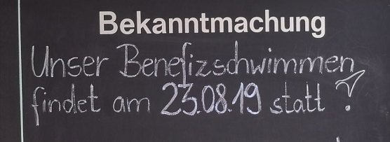 Benefizschwimmen im Greussener Freibad (Foto: privat)