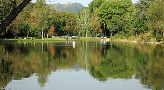 Weitere Hilfe für den Parkteich (Foto: Karl-Heinz Herrmann) Weitere Hilfe für den Parkteich (Foto: Karl-Heinz Herrmann)